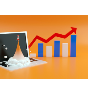 Diseño Web Profesional